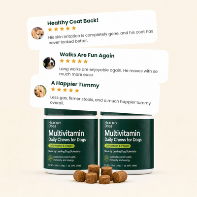 Multivitamin Chews