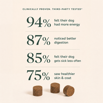 Multivitamin Chews