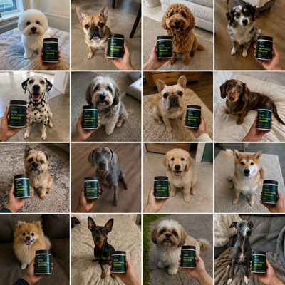 Multivitamin Chews